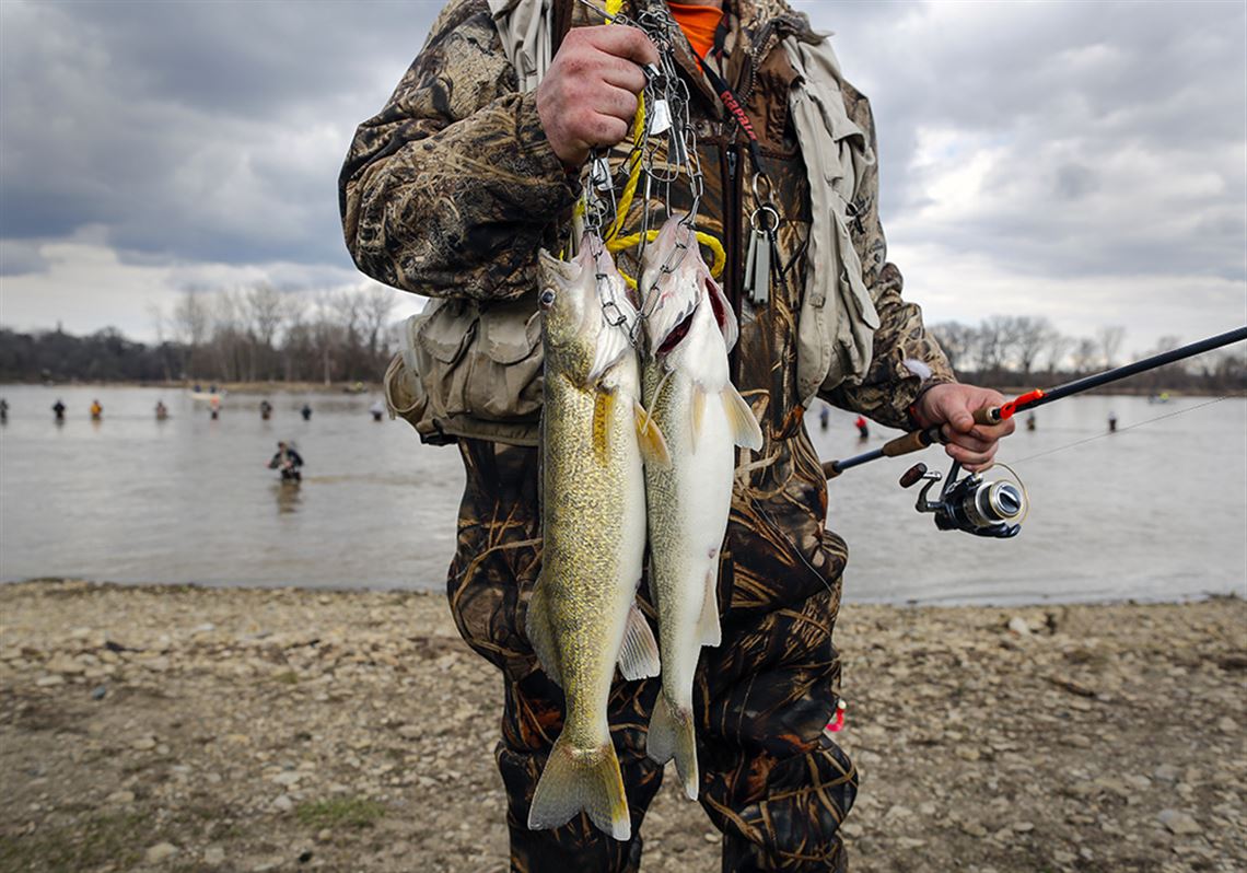 Blade Fishing Report: Perch fishing still strong in Lake Erie